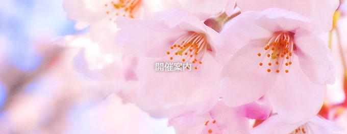 TOPイメージ