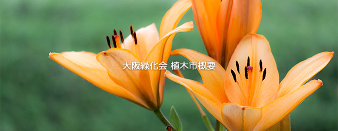大阪緑化会植木市概要