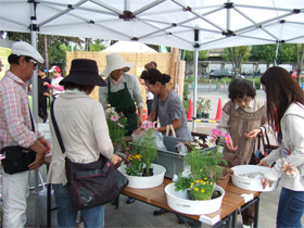 寄せ植え講習会