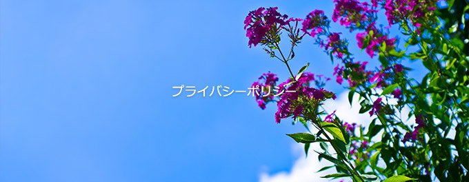 プライバシーポリシー