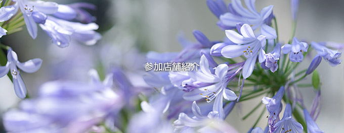 参加店舗紹介