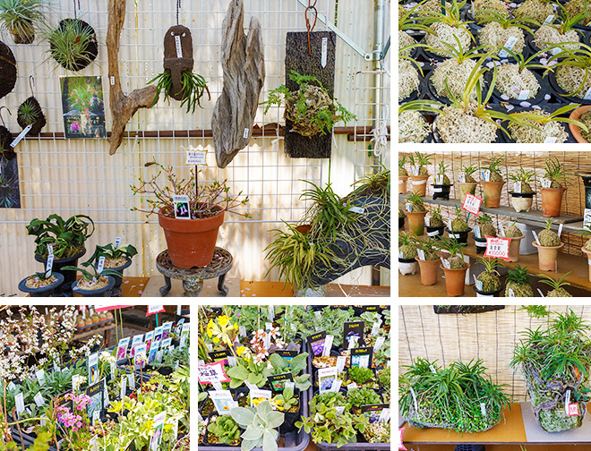 植木屋21(名越)