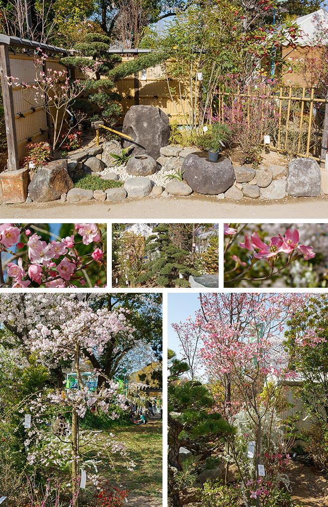 山田園芸